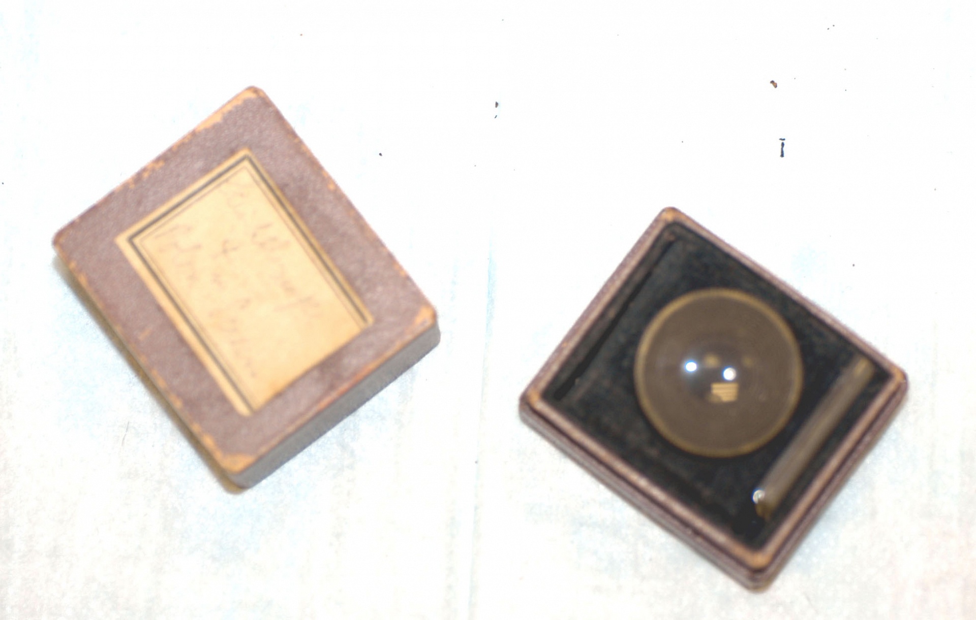 Magnified image for image #3