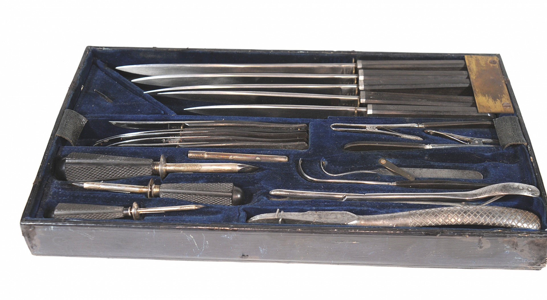 Magnified image for image #2