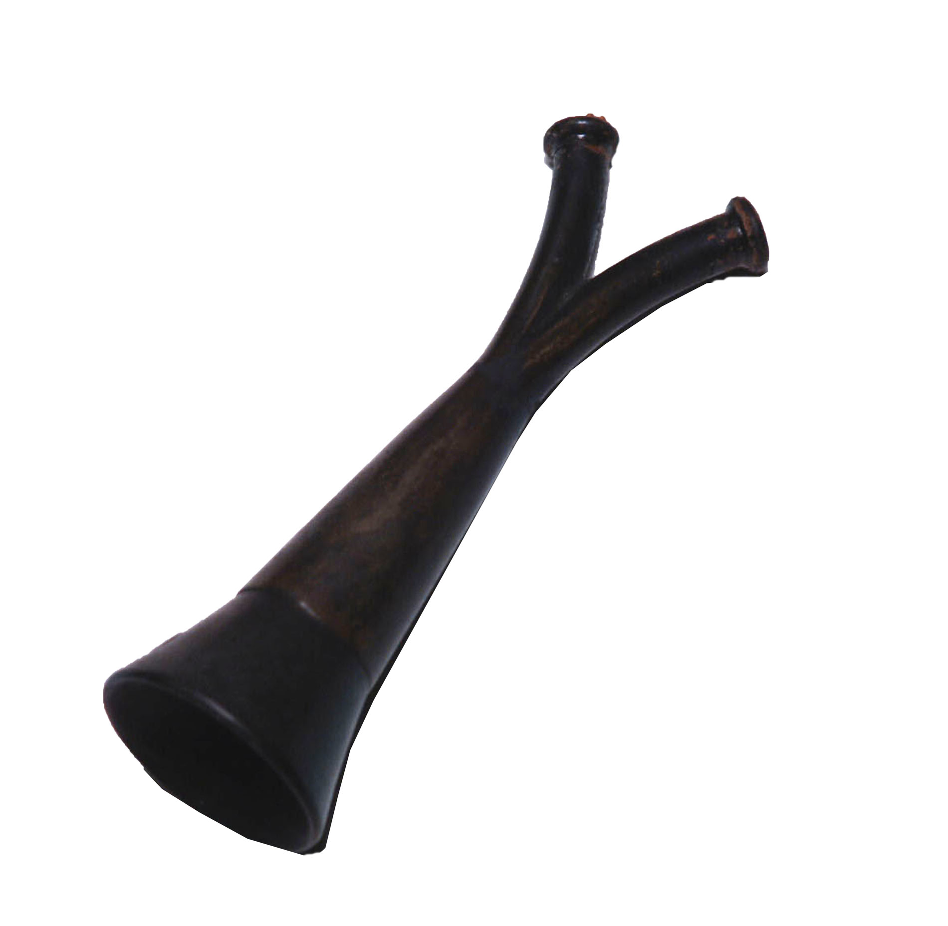 Magnified image for image #1