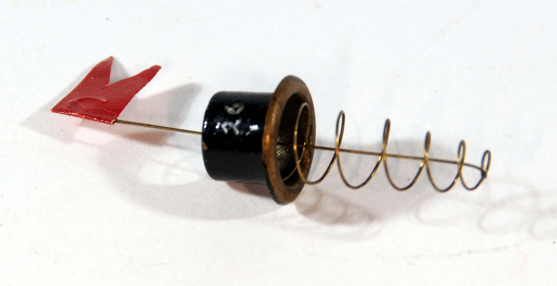 Magnified image for image #1