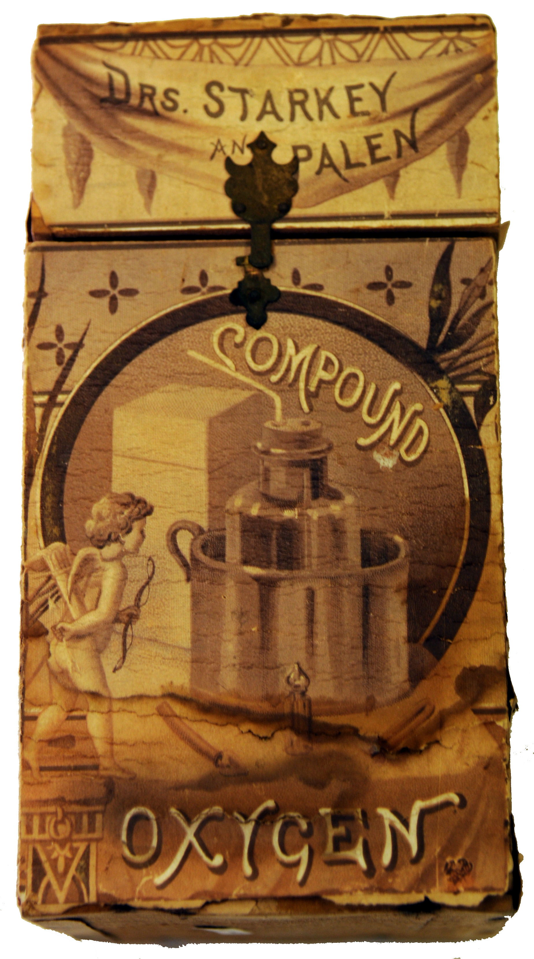 Magnified image for image #2