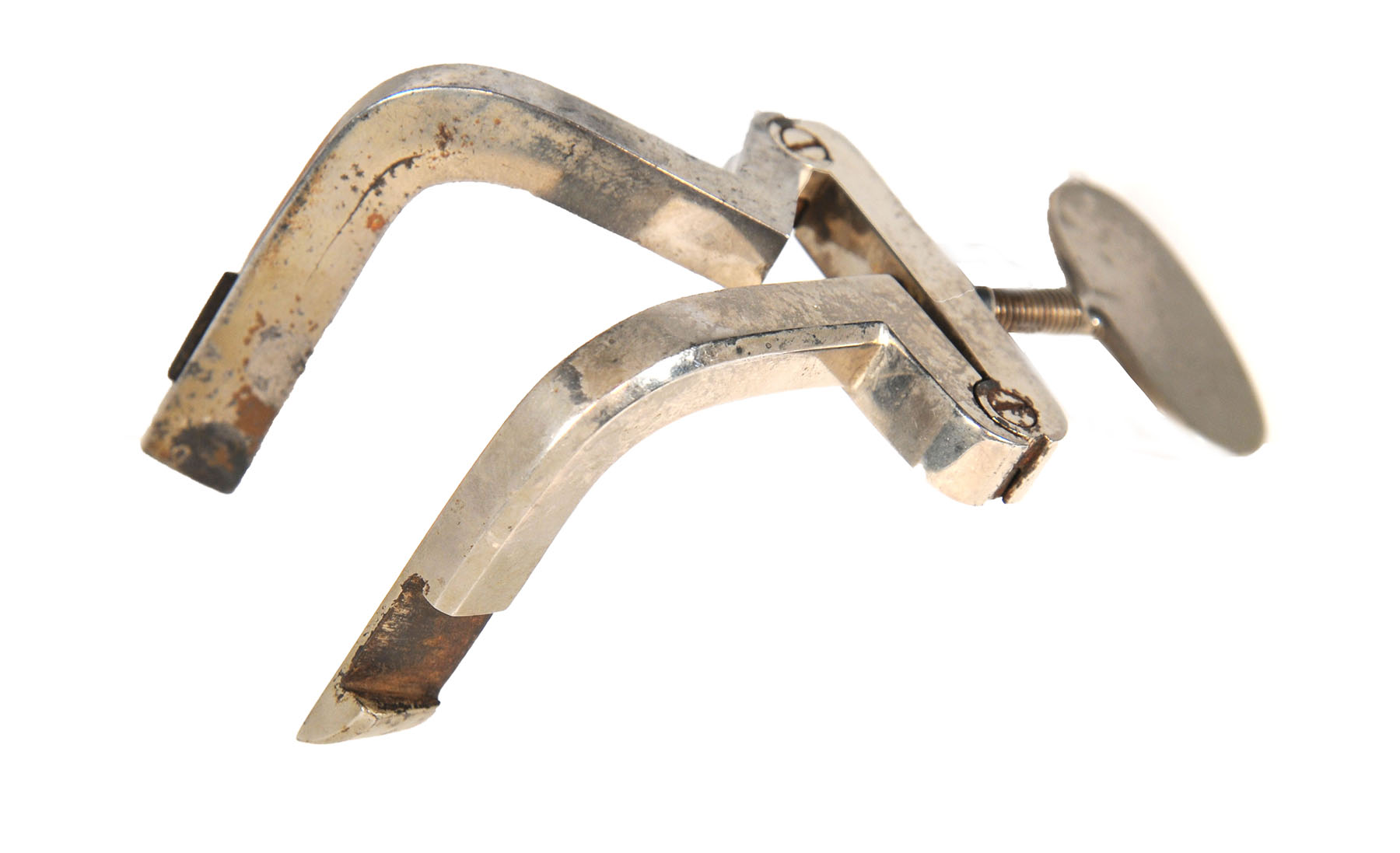 Magnified image for image #2