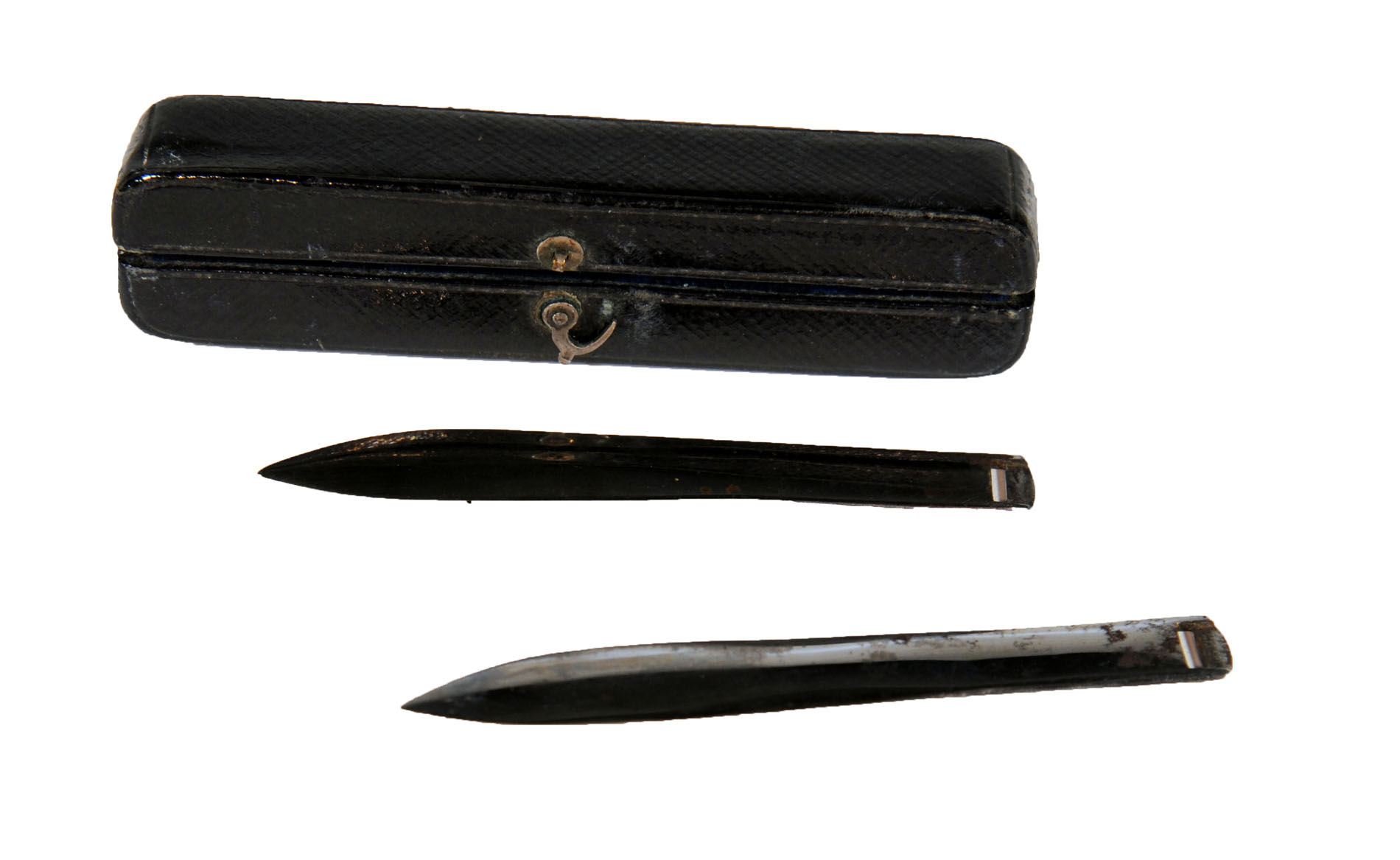 Magnified image for image #1