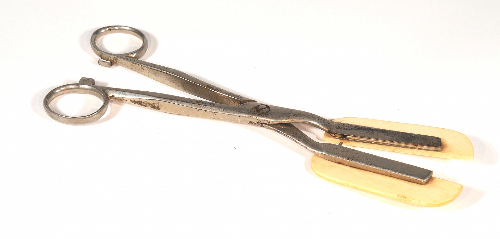 Magnified image for image #1