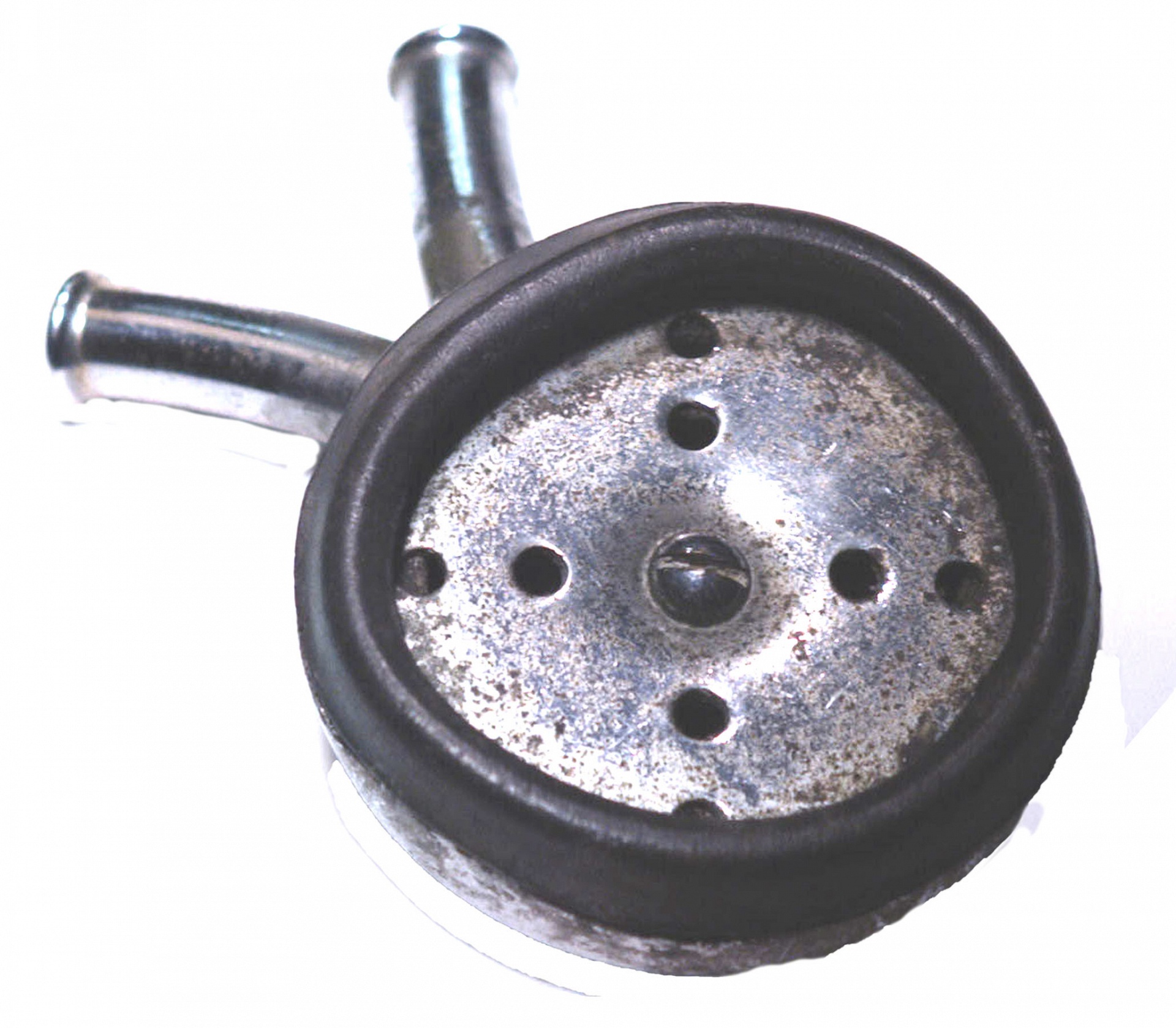 Magnified image for image #1