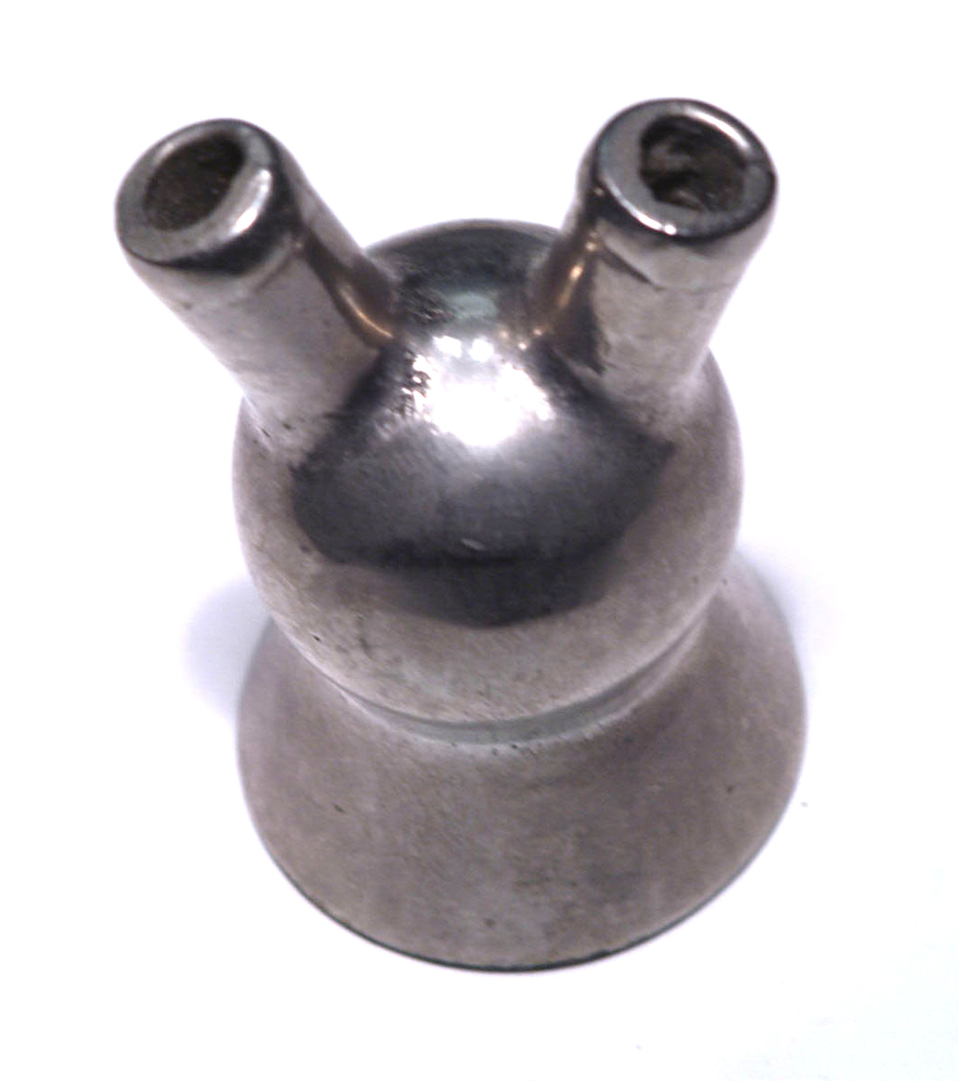 Magnified image for image #1