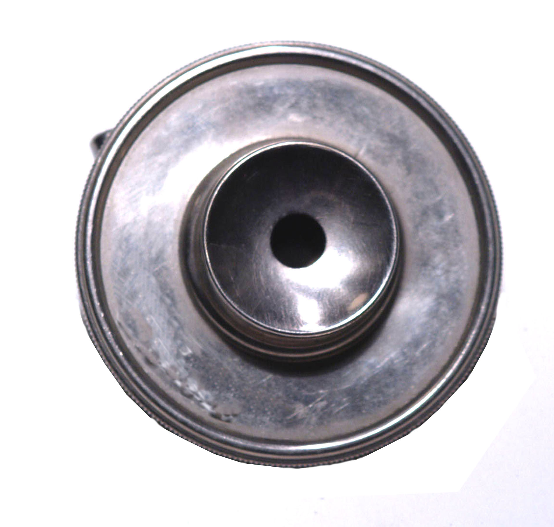 Magnified image for image #1