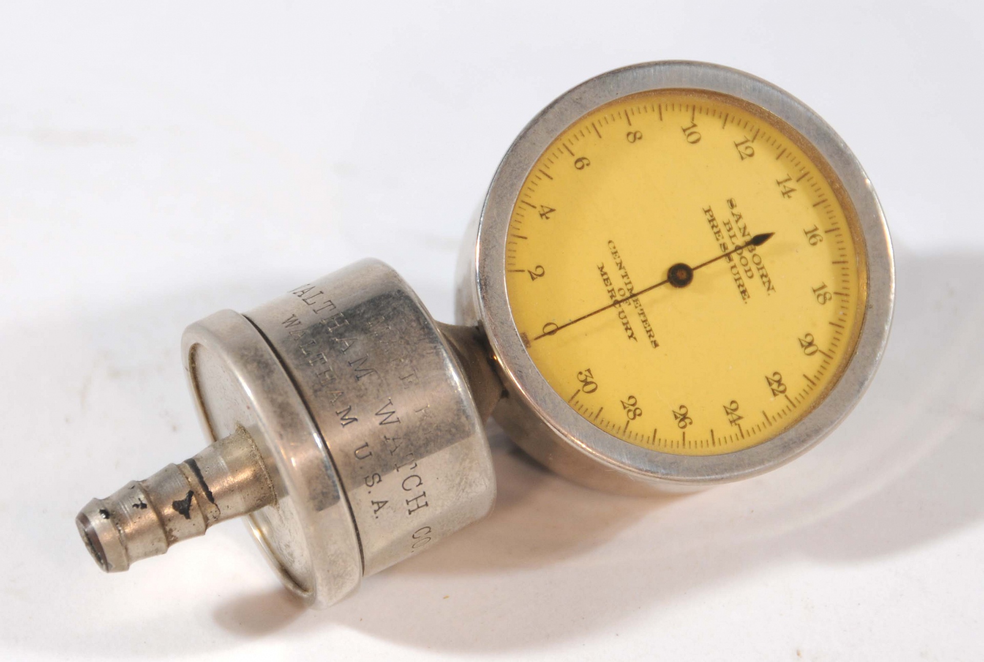 Magnified image for image #1