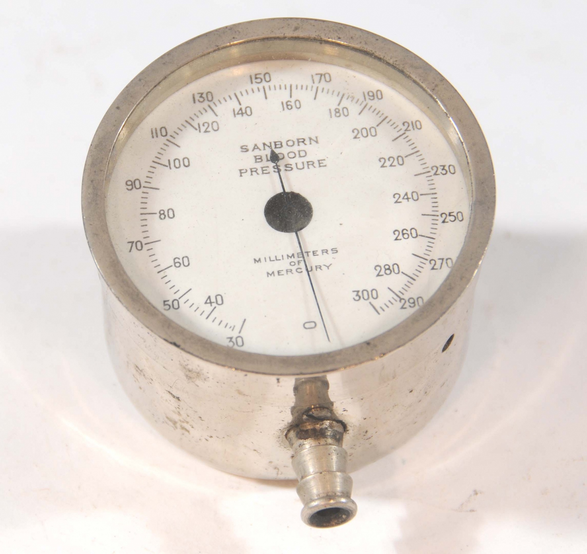 Magnified image for image #1