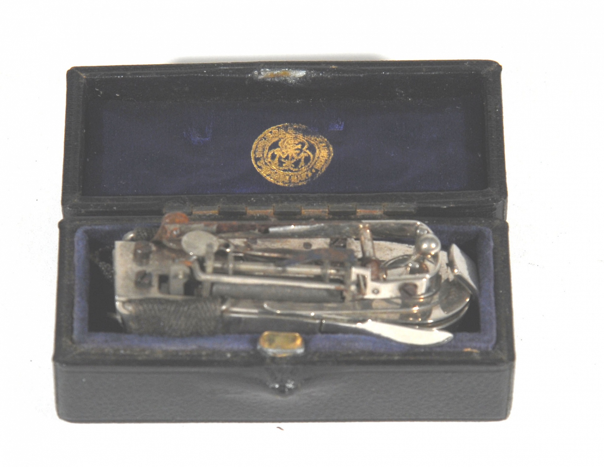 Magnified image for image #1