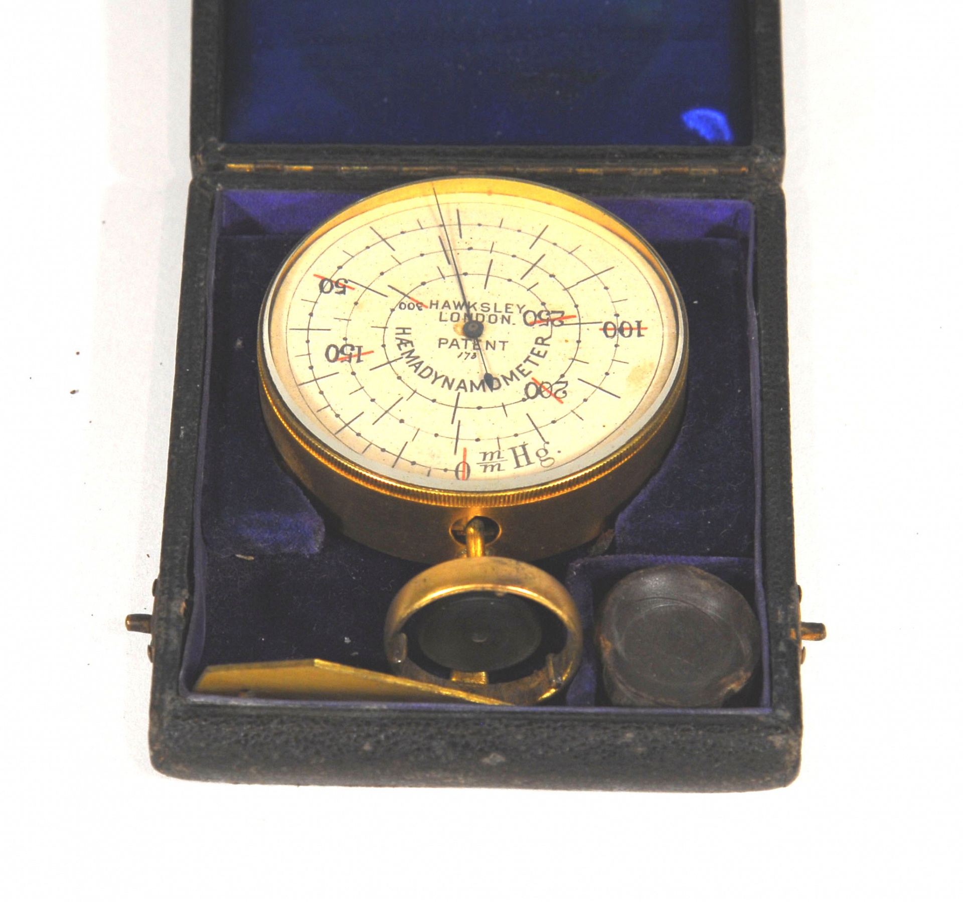 Magnified image for image #1