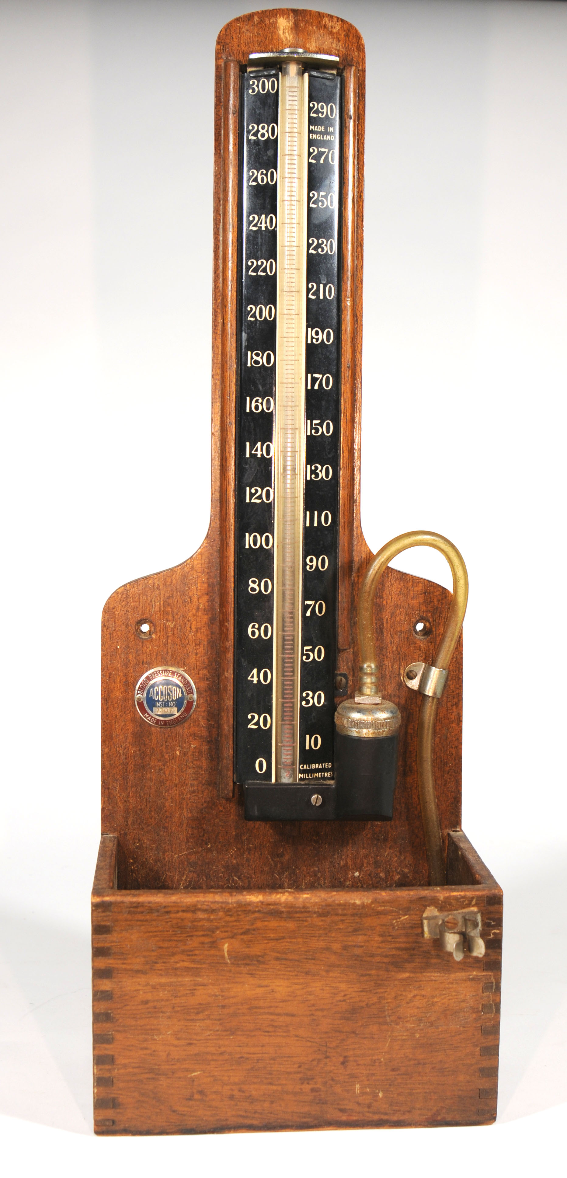 Magnified image for image #1