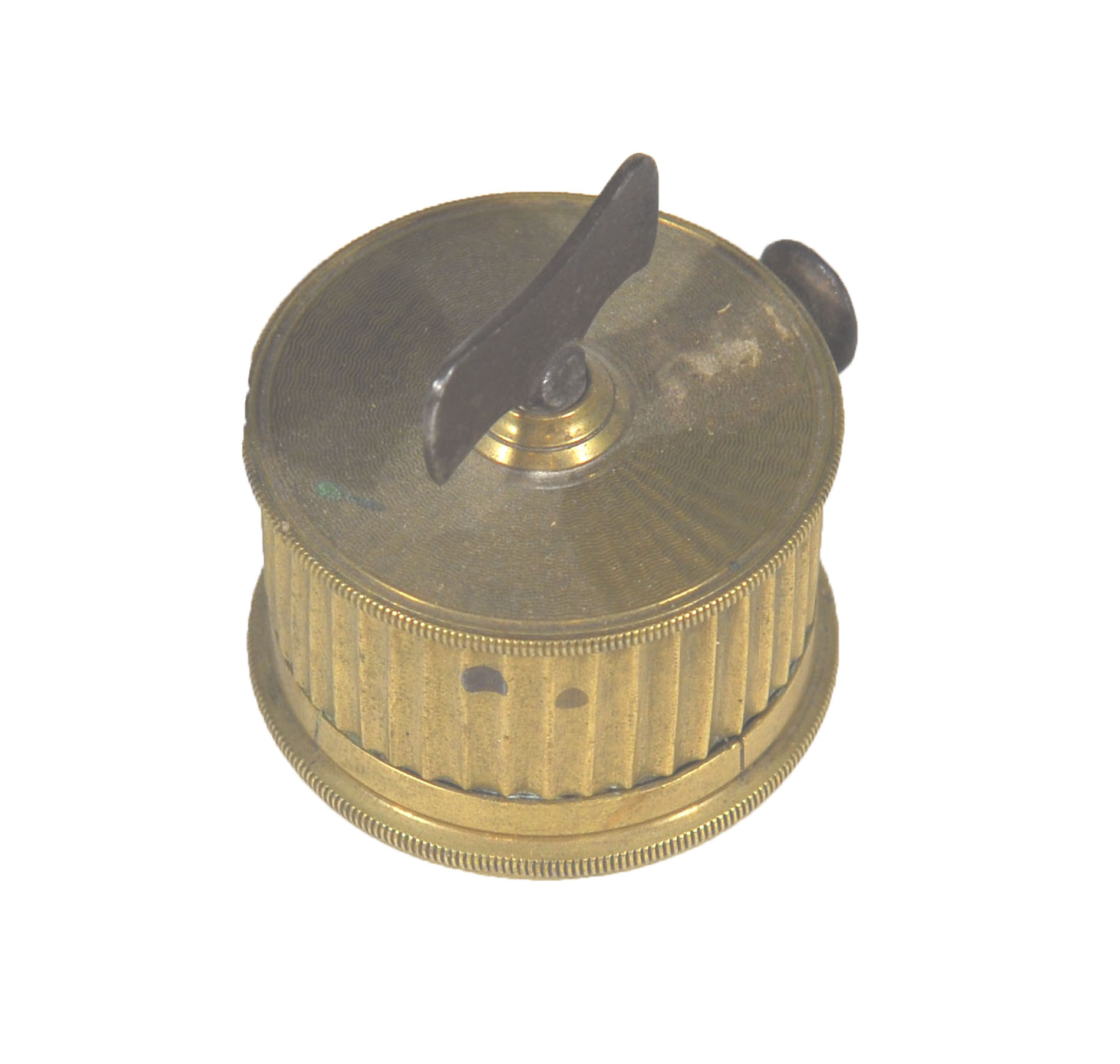 Magnified image for image #1