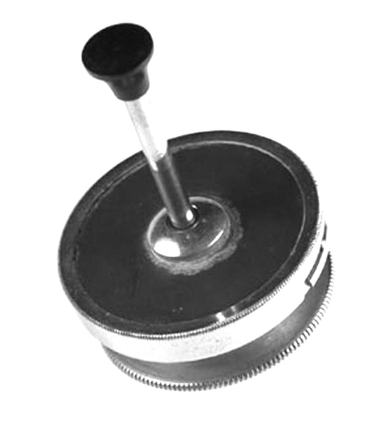 Magnified image for image #1