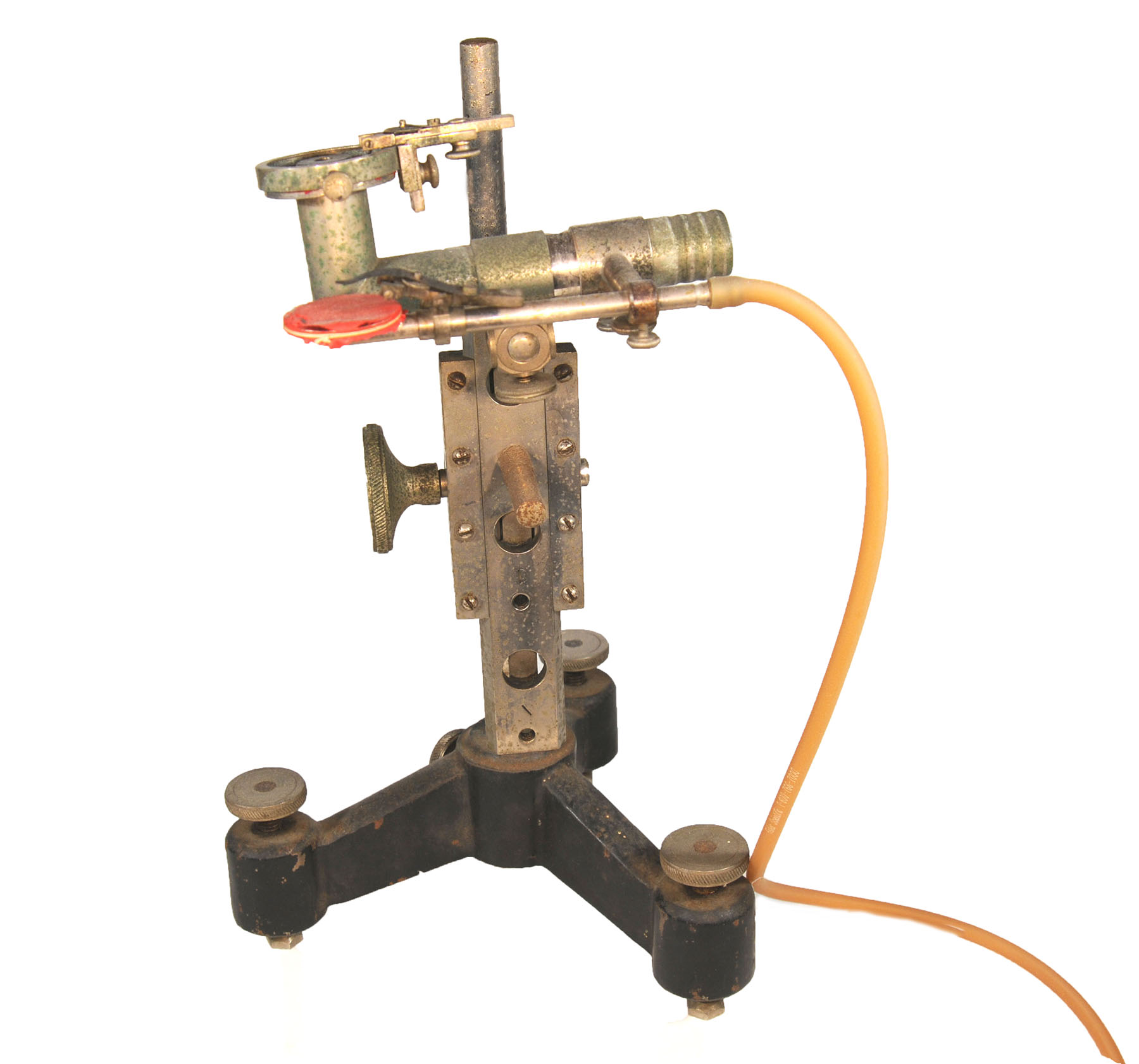 Magnified image for image #1