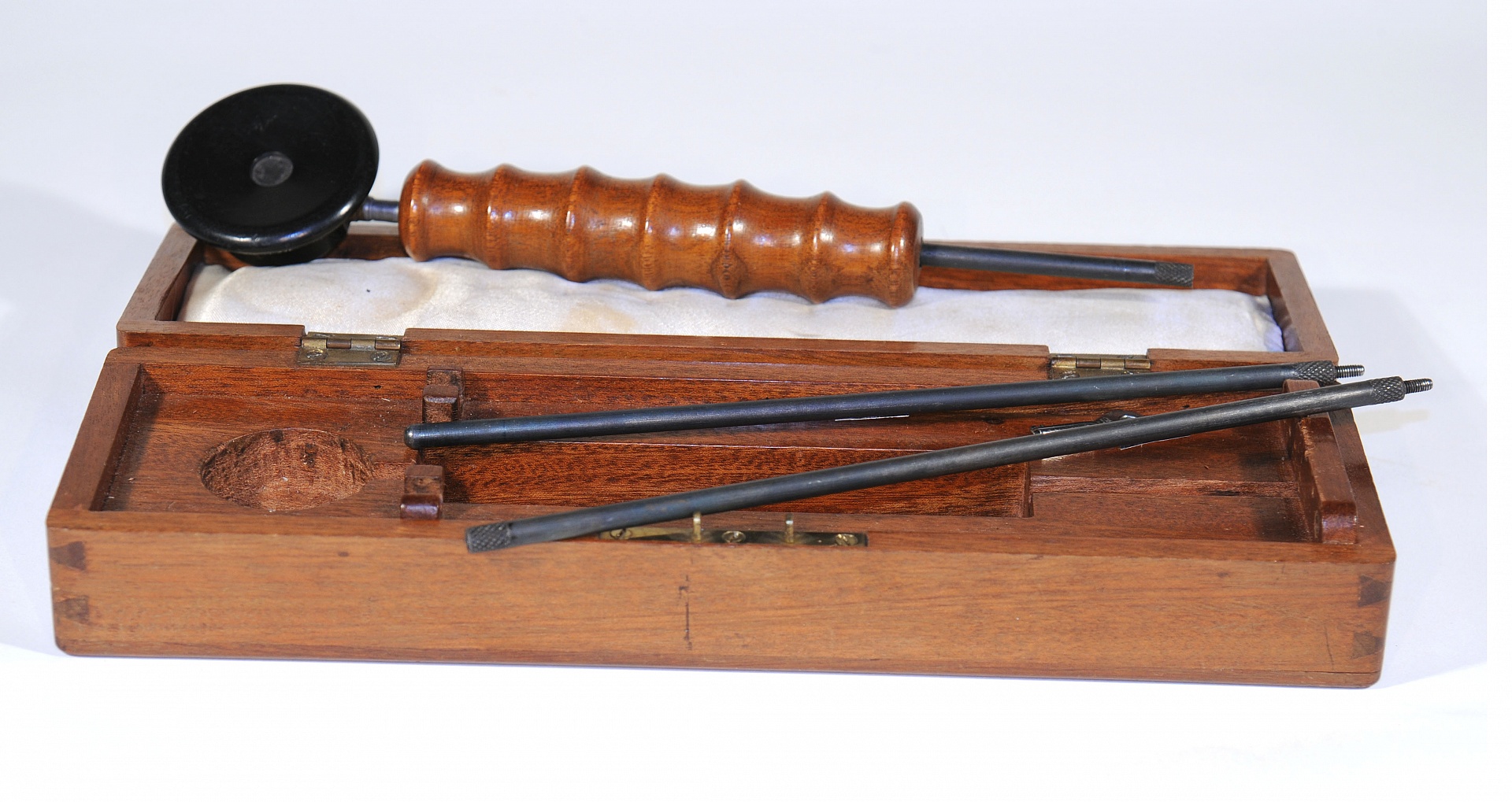 Magnified image for image #1