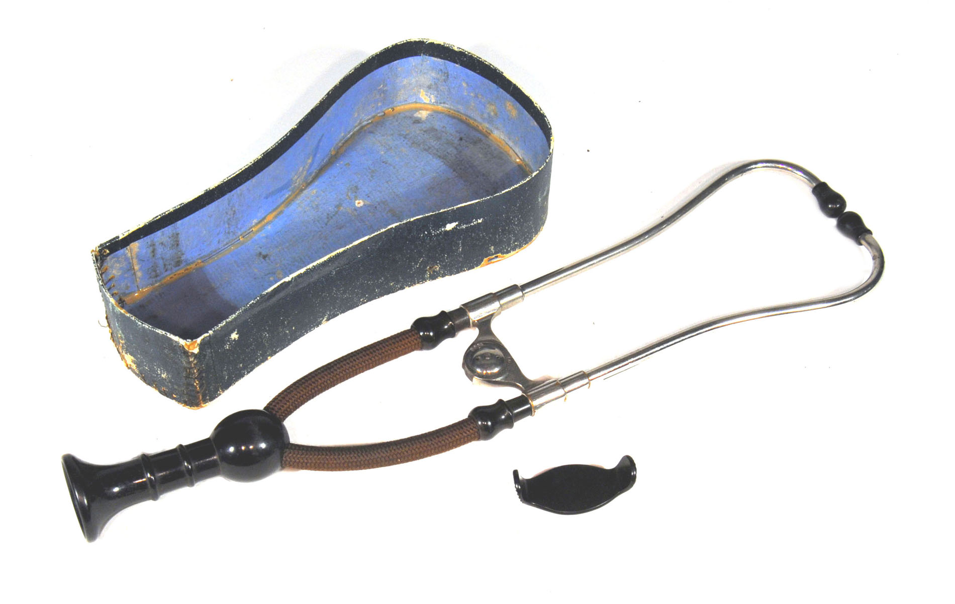 Magnified image for image #1