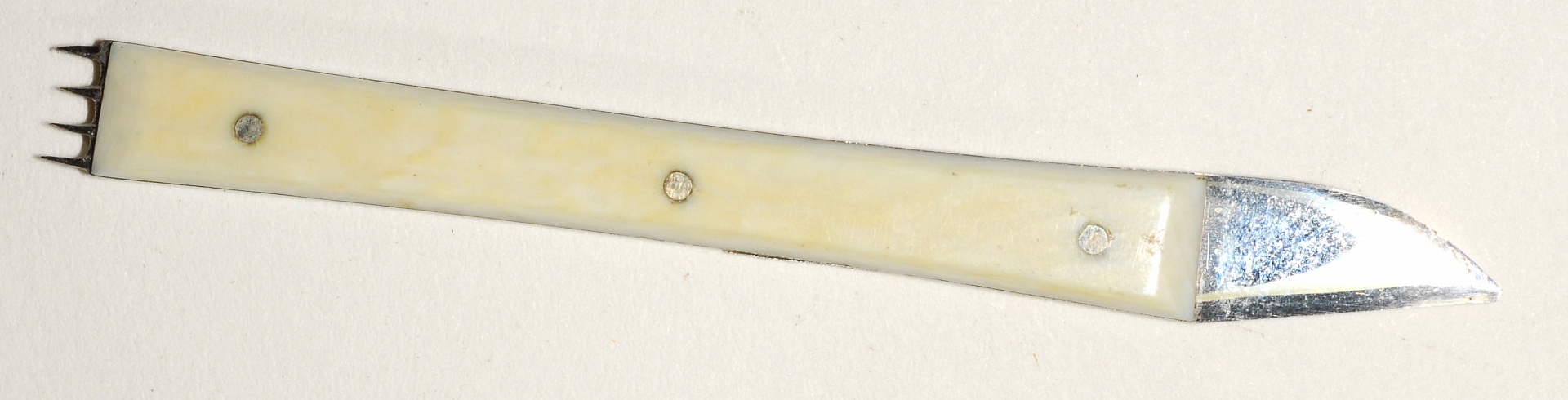 Magnified image for image #1