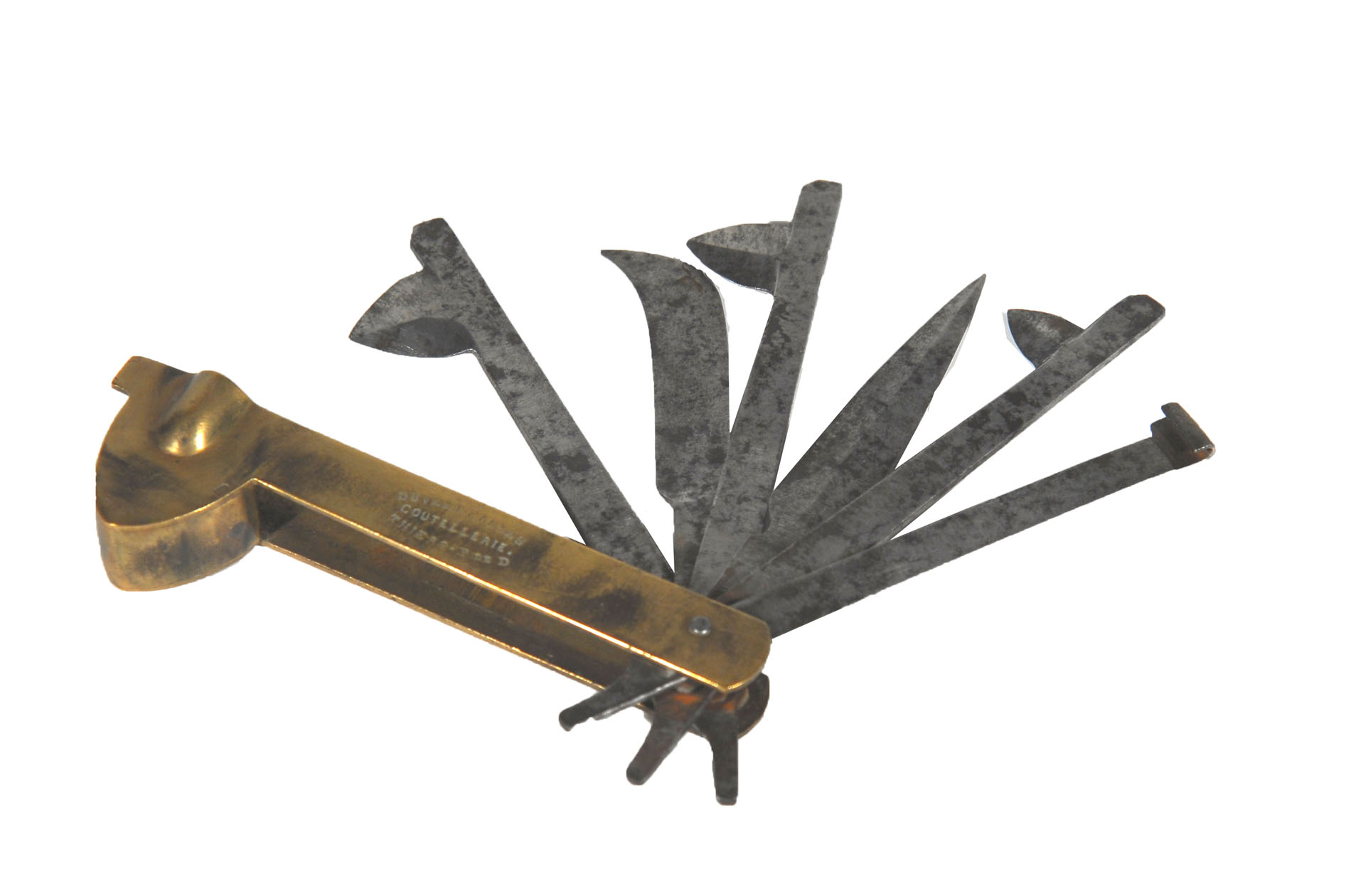 Magnified image for image #1