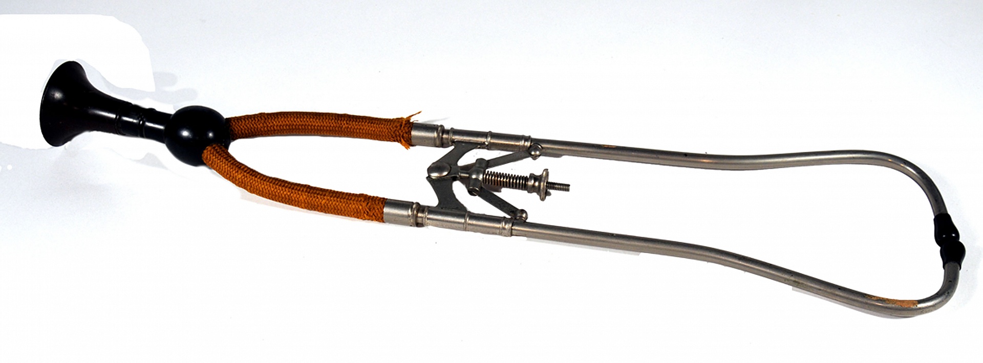 Magnified image for image #1