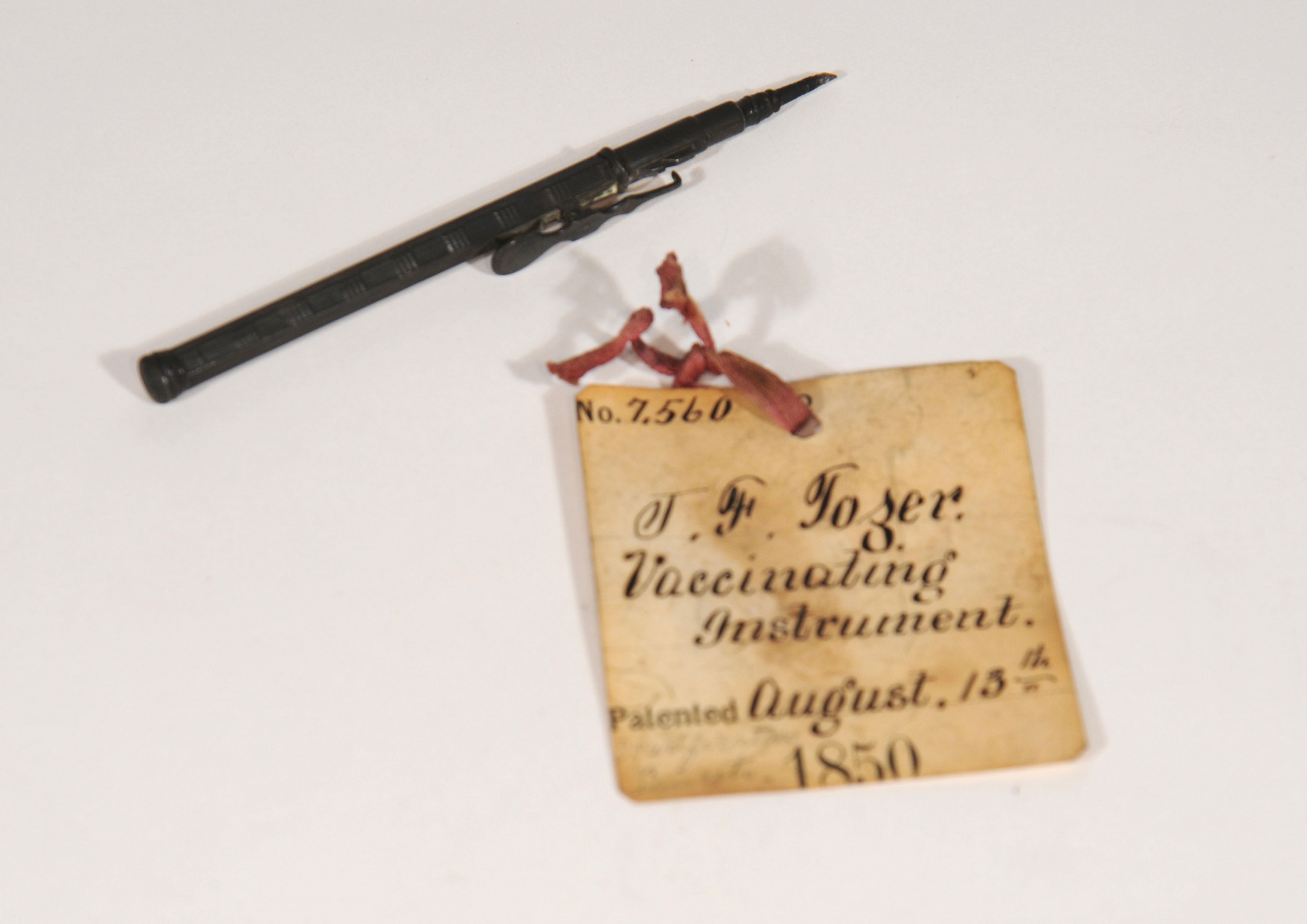 Magnified image for image #1