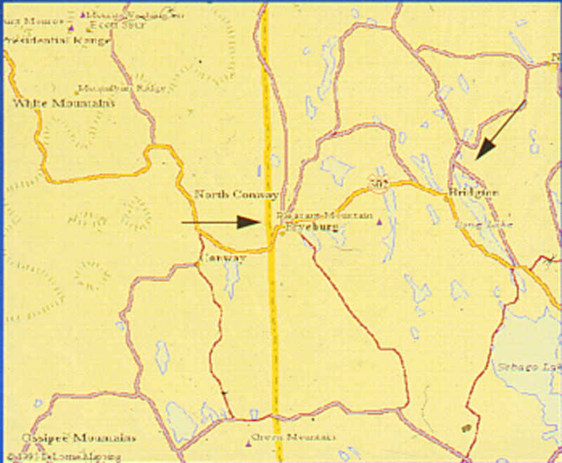 Magnified image for image #7