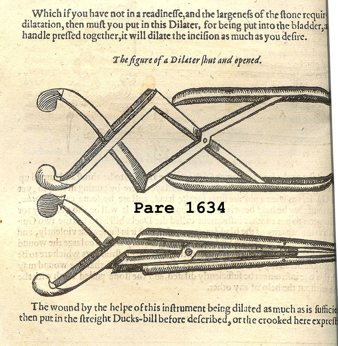 Magnified image for image #2