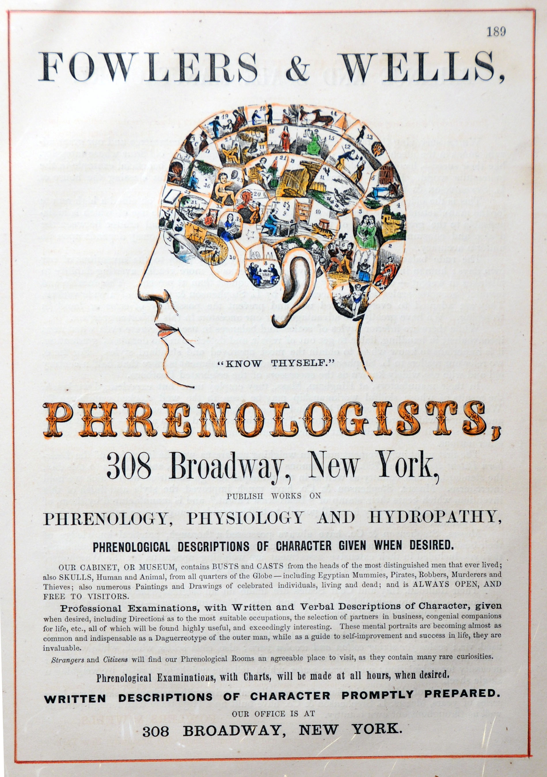 Magnified image for image #1